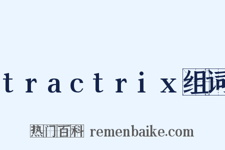 tractrix组词是什么意思的图片